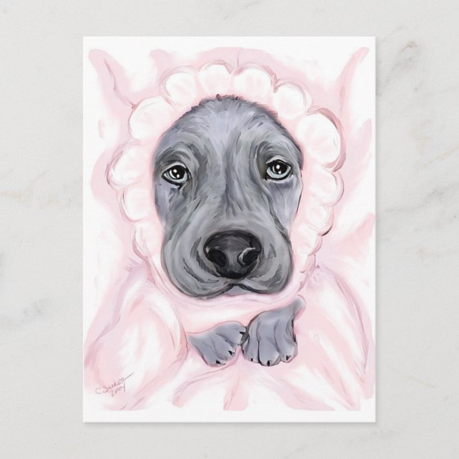 Great Dane Baby Blue Girl Announcement Postcard (Front)