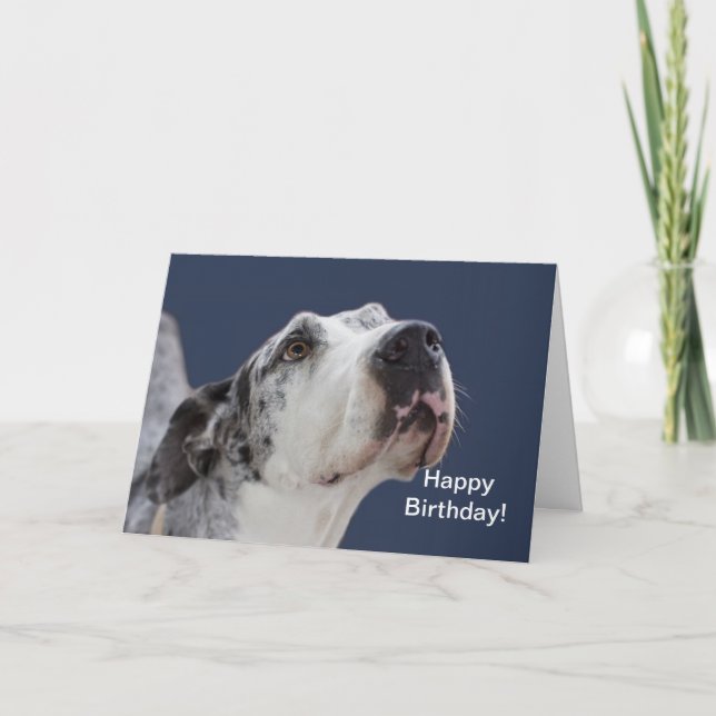 Great Dane Birthday Card (Front)
