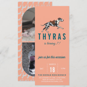 Great Dane Birthday Invitation with Photo