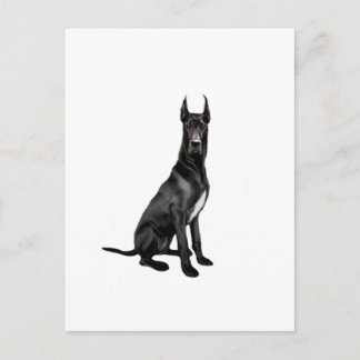 Great Dane - Black (cropped ears) Postcard