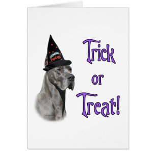 Great Dane (blue) Trick