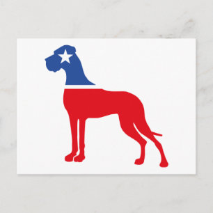 Great Dane breeder identity Postcard