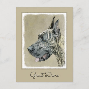 Great Dane (Brindle) Painting - Original Dog Art Postcard