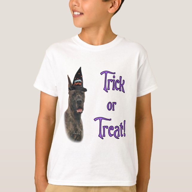 Great Dane (brindle) Trick T-Shirt (Front)