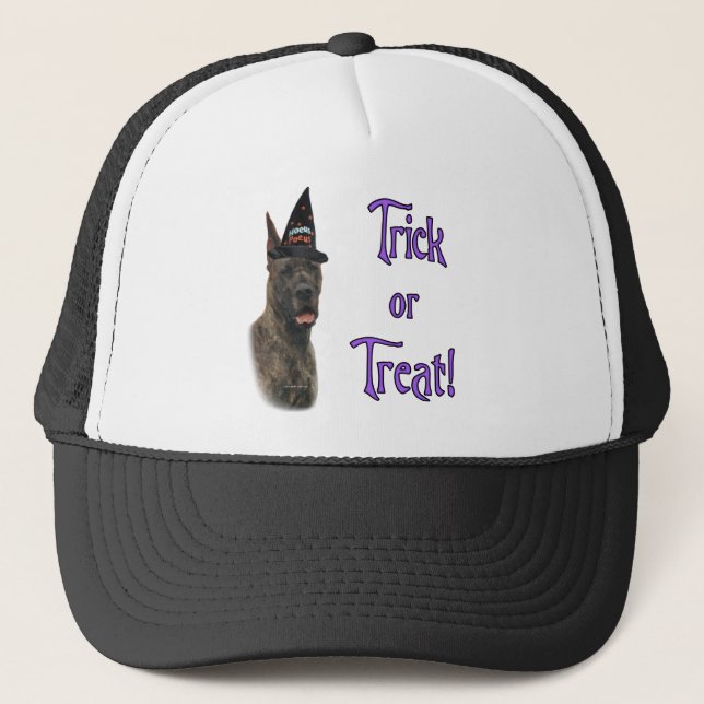 Great Dane (brindle) Trick Trucker Hat (Front)