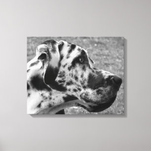 GREAT DANE CANVAS PRINT