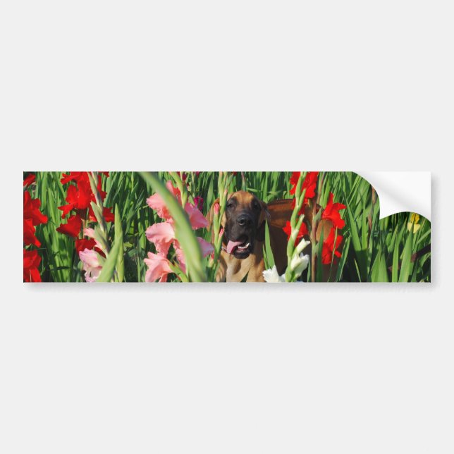 Great Dane car Sticker  (Front)