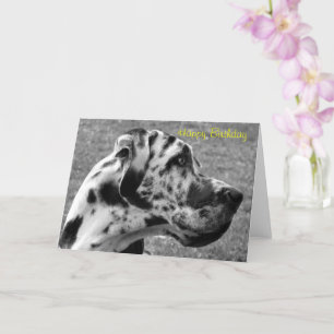 GREAT DANE CARD