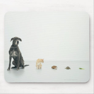 Great Dane, cat, guinea pig, tortoise and slug Mouse Mat