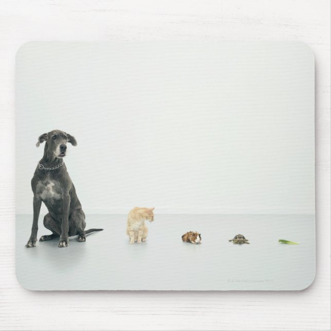 Great Dane, cat, guinea pig, tortoise and slug Mouse Mat (Front)
