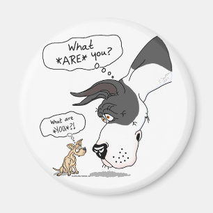 Great Dane & Chihuahua Mantle Magnet