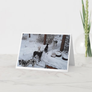 Great Dane Christmas Card