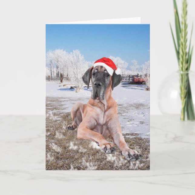 Great Dane Christmas Holiday Card (Front)