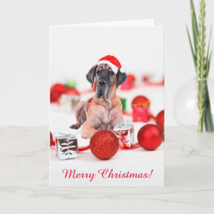 Great Dane Christmas Holiday Card