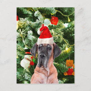 Great Dane Christmas Holiday Postcard