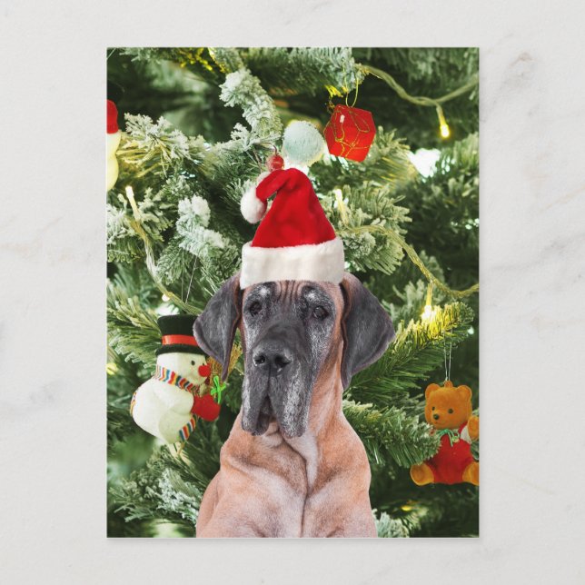 Great Dane Christmas Holiday Postcard (Front)