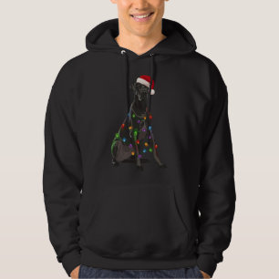 Great Dane Christmas Lights Xmas Dog Lover Santa H Hoodie