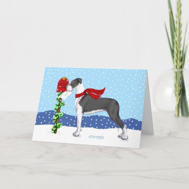 Great Dane Christmas Cards | Zazzle UK
