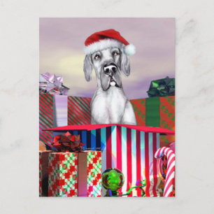 Great Dane Christmas Surprise Blue UC Holiday Postcard