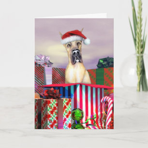 Great Dane Christmas Surprise Fawn Holiday Card