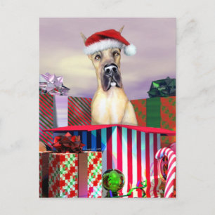 Great Dane Christmas Surprise Fawn Holiday Postcard