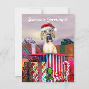 Great Dane Christmas Surprise Fawn UC Invitation