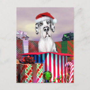 Great Dane Christmas Surprise Harle UC Holiday Postcard