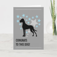 Great Dane Congrats