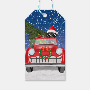 Great Dane Dog Driving Car In Snow Christmas Gift Tags