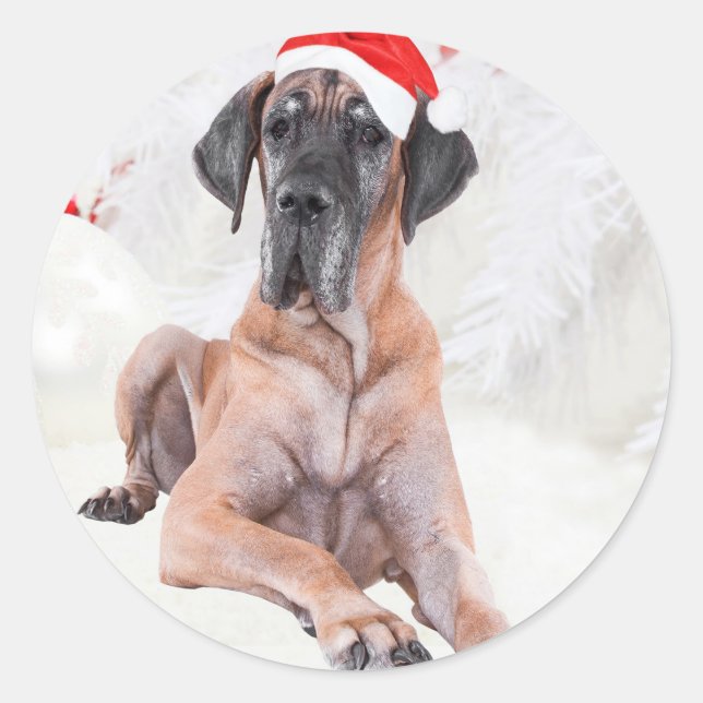 Great Dane Dog Hat Merry Christmas Classic Round Sticker (Front)