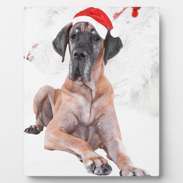 Great Dane Dog Hat Merry Christmas Plaque (Front)