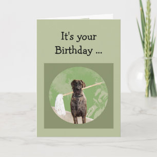 Great Dane Dog Humour for Birthday Fun Card
