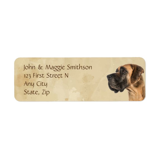 Great Dane Dog Pet Animal  (Front)