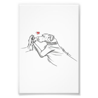 Great Dane Dog Photo Print