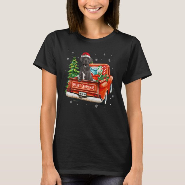 Great Dane Dog Ride Red Truck Christmas Dog  Pajam T-Shirt (Front)