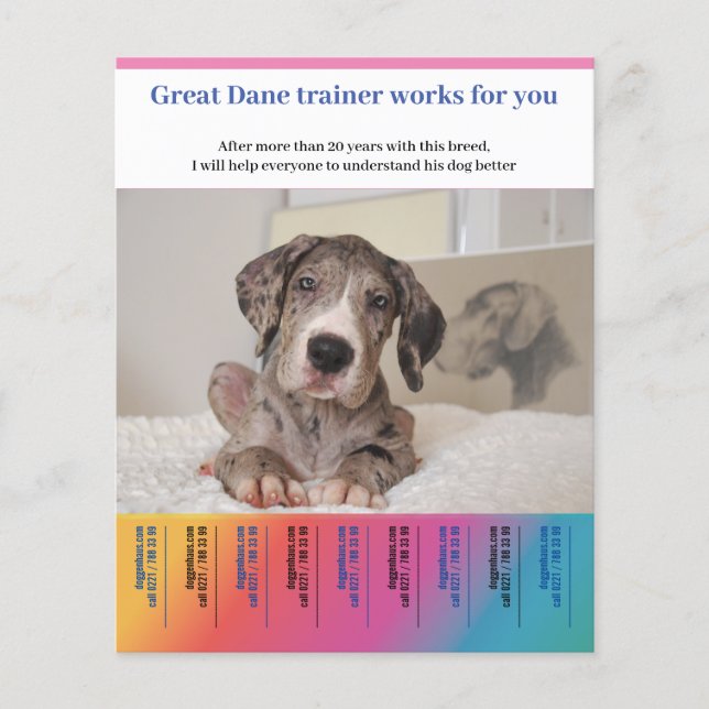 Great Dane Dog Trainer Flyer (Front)