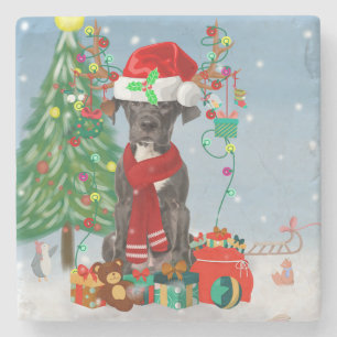 Great Dane dog with Christmas gifts   Stone Coaster