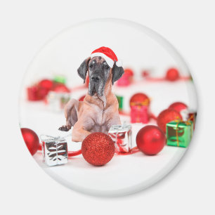 Great Dane Dog with Christmas Ornaments Gifts Magnet