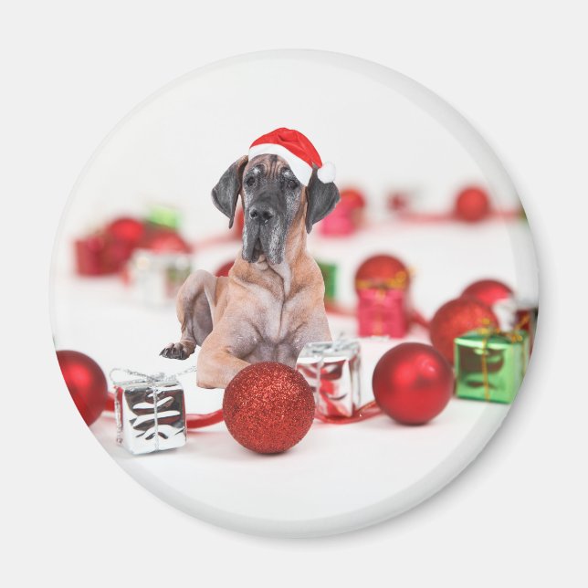 Great Dane Dog with Christmas Ornaments Gifts Magnet (Front)