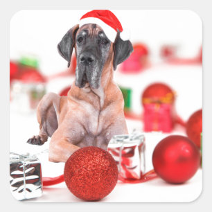 Great Dane Dog with Christmas Ornaments Gifts Square Sticker