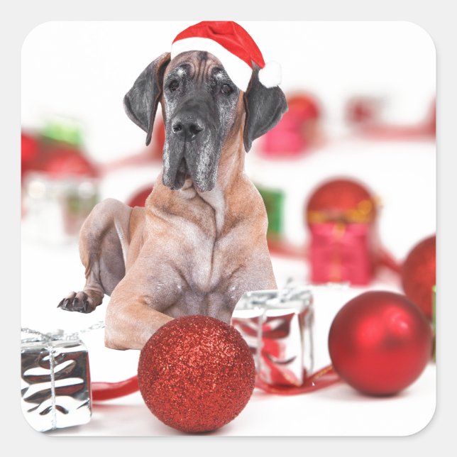 Great Dane Dog with Christmas Ornaments Gifts Square Sticker (Front)