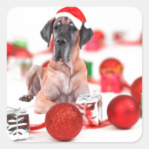 Great Dane Dog with Christmas Ornaments Gifts Square Sticker