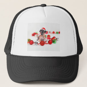 Great Dane Dog with Christmas Ornaments Gifts Trucker Hat