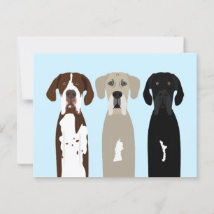 Great Dane Dogs Postcard