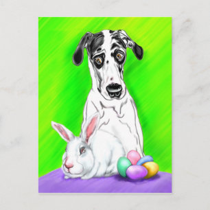 Great Dane Easter RABBITS?! Holiday Postcard