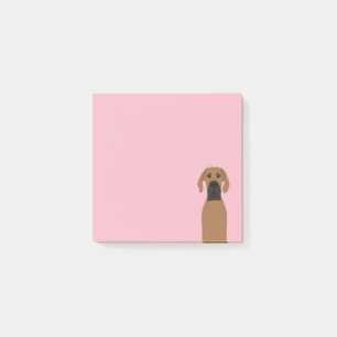 Great Dane Fawn Dog Post-it Notes