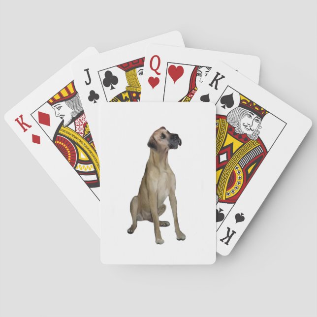 Great Dane - FawnSit - natural ears Playing Cards (Back)