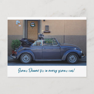 Great Dane fits in a Beetle Postcard
