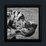 GREAT DANE GIFT BOX<br><div class="desc">A beautiful black and white design of a Great Dane dog. England UK.</div>