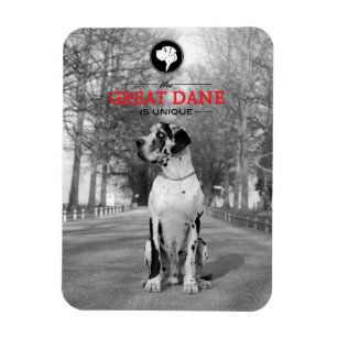 Great Dane Graphics Magnet